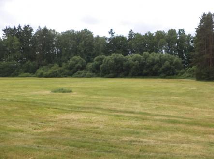 Prodej pozemku, ostatní, 2 389 m²