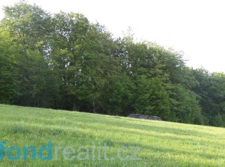 Prodej pozemku, ostatní, 13 446 m²