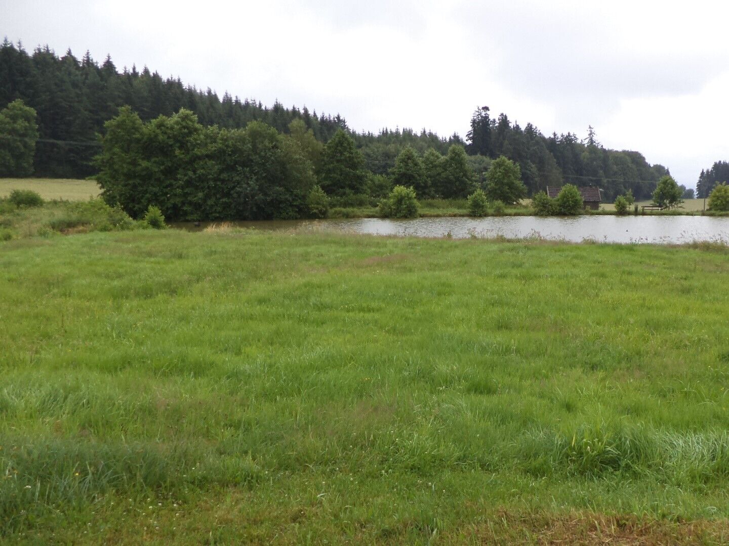 Prodej pozemků Starý Bozděchov