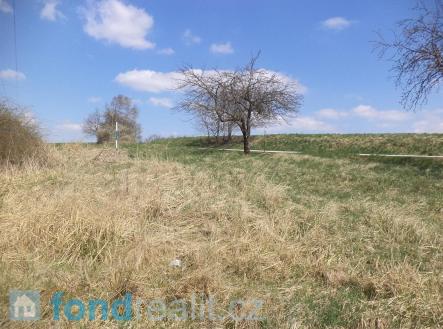 Prodej - pozemek, zemědělská půda, 5 703 m²