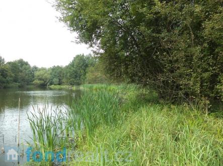 Prodej pozemku, ostatní, 1 919 m²