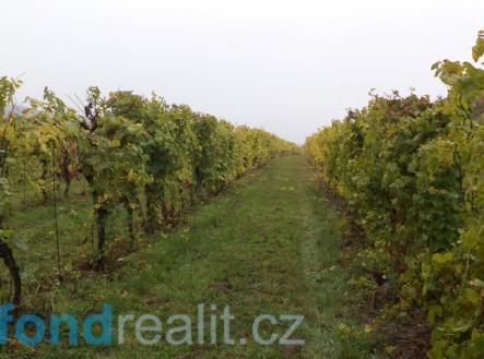 Prodej pozemku, ostatní, 4 541 m²