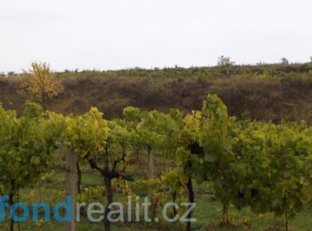 Prodej pozemku, ostatní, 4 541 m²