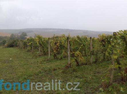 Prodej pozemku, ostatní, 4 541 m²