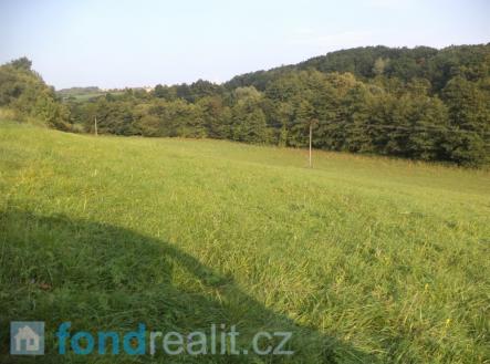 Prodej - pozemek, zemědělská půda, 9 643 m²