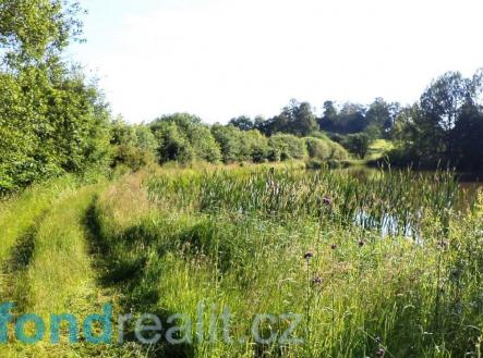 Prodej - pozemek, trvalý travní porost, 9 504 m²