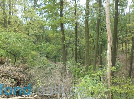 Prodej pozemku, ostatní, 19 641 m²