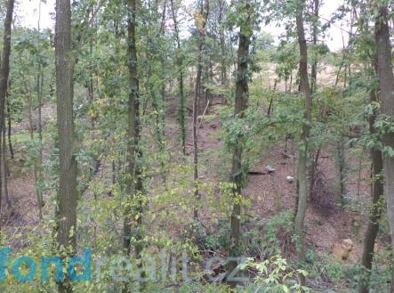 Prodej pozemku, ostatní, 19 641 m²