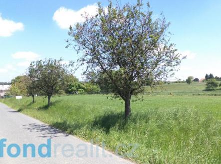 Prodej pozemku, zemědělská půda, 1 053 m²