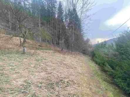 Prodej pozemku, ostatní, 903 m²