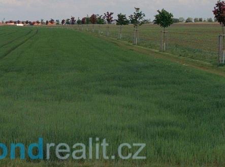 Prodej pozemku, ostatní, 4 552 m² obrázek