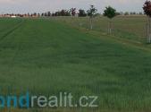 Prodej pozemku, ostatní, 4 552 m²