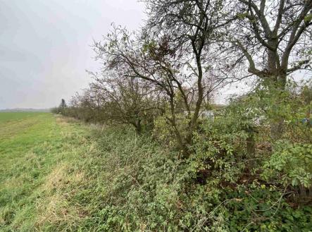 Prodej pozemku, ostatní, 1 293 m²