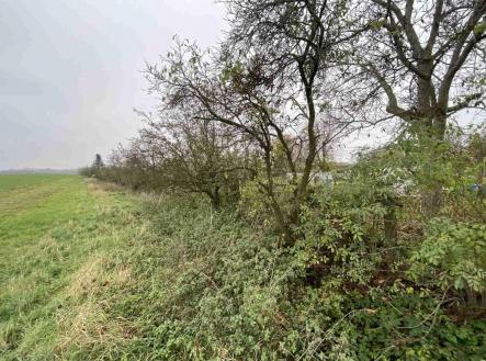 Prodej pozemku, ostatní, 1 293 m²