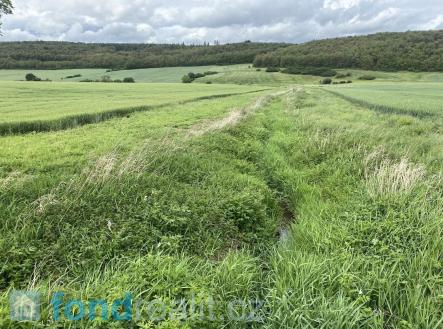 Prodej - pozemek, zemědělská půda, 7 934 m²