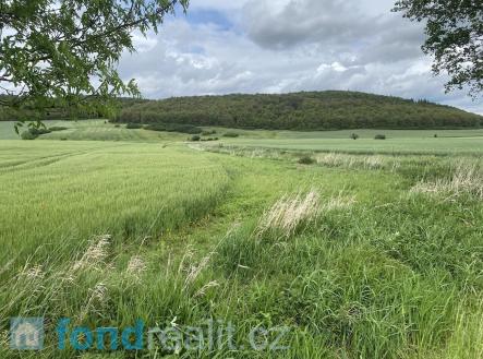 Prodej - pozemek, zemědělská půda, 7 934 m²