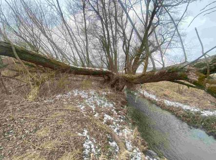 Prodej - pozemek, zemědělská půda, 1 800 m²