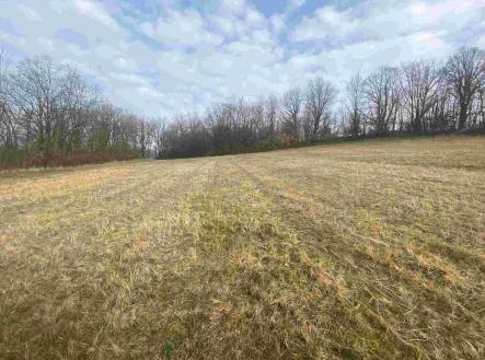 Prodej pozemku, ostatní, 9 269 m² obrázek