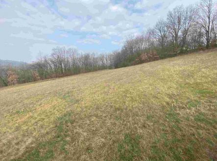 Prodej pozemku, ostatní, 9 269 m²