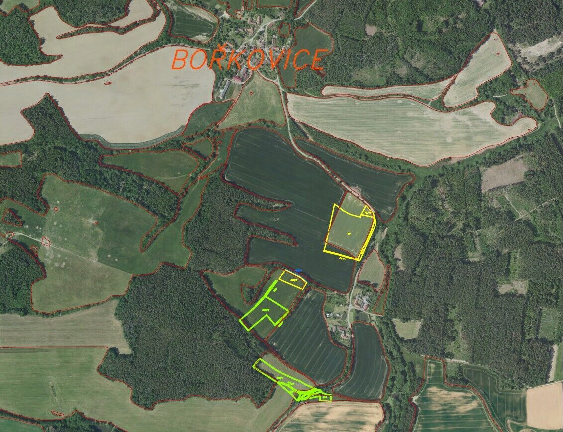 Prodej pozemků Bořkovice, obec Zvěstov, ostatní