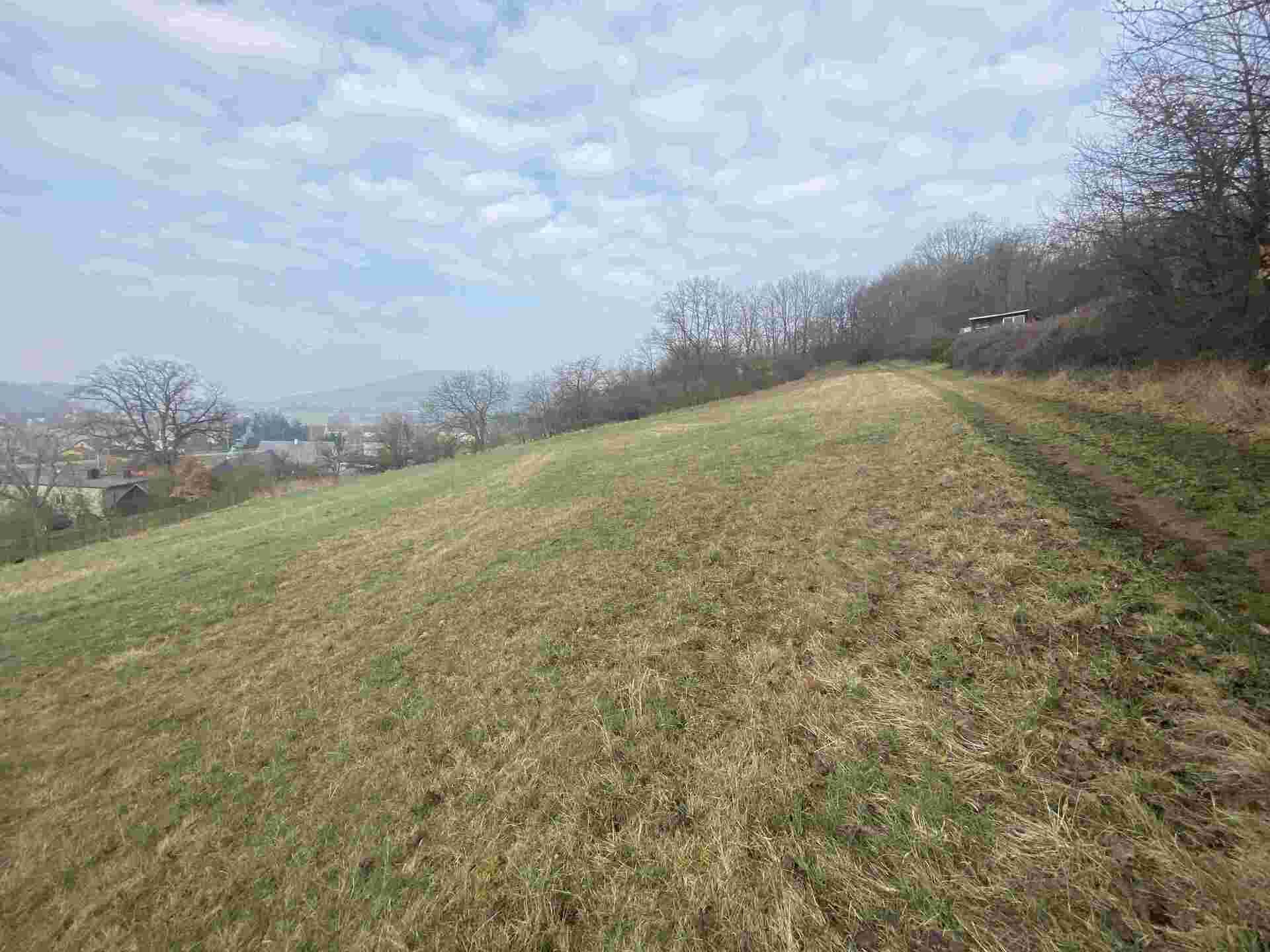 Prodej pozemku Linhartice, 3188