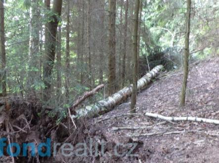Prodej pozemku, ostatní, 4 634 m²