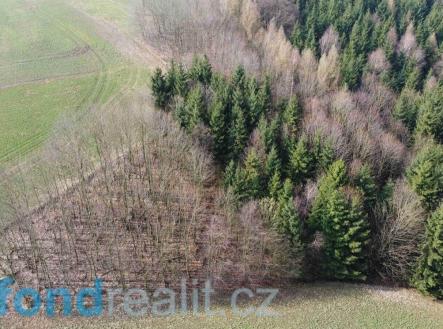 Prodej - pozemek, zemědělská půda, 7 831 m²