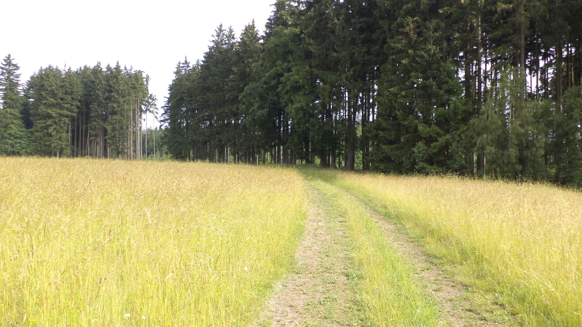 Prodej pozemků Horní Štěpánov, podílové spoluvlastnictví 1/4