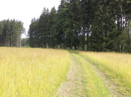 Prodej pozemku, ostatní, 4 031 m²