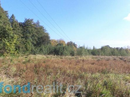 Prodej pozemku, zemědělská půda, 2 352 m²