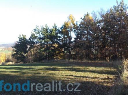 Prodej pozemku, zemědělská půda, 4 403 m²