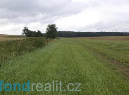 Prodej pozemku, zemědělská půda, 8 654 m²