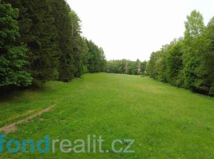 Prodej pozemku, zemědělská půda, 8 782 m²