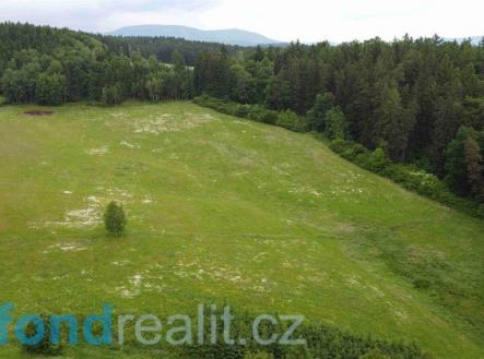 Prodej pozemku, zemědělská půda, 6 699 m²