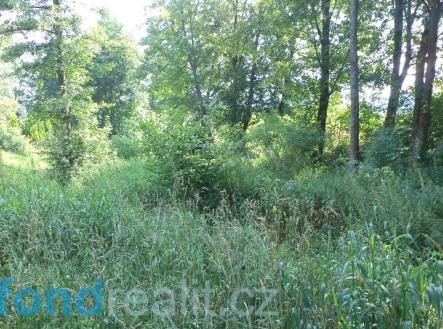 Prodej pozemku, ostatní, 154 m²