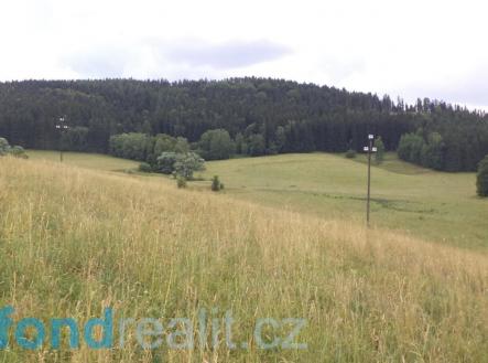 Prodej pozemku, zemědělská půda, 10 957 m²