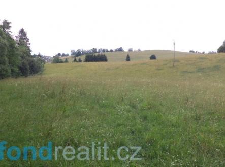 Prodej pozemku, zemědělská půda, 10 957 m²