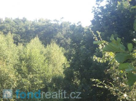 Prodej pozemku, ostatní, 2 629 m²