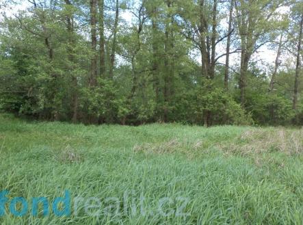 Prodej pozemku, ostatní, 1 844 m²