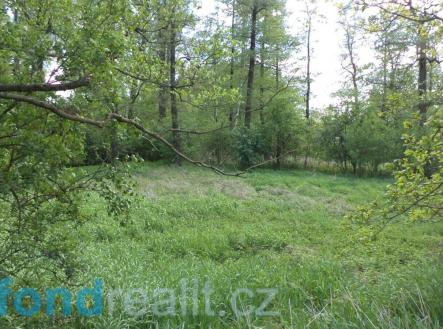 Prodej pozemku, ostatní, 1 844 m²