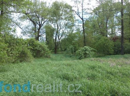 Prodej pozemku, ostatní, 1 844 m²