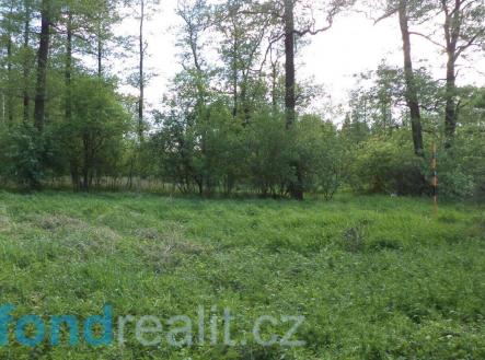 Prodej pozemku, ostatní, 1 844 m²