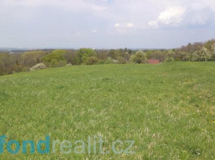 Prodej pozemku, zemědělská půda, 8 787 m²