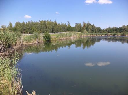 Prodej pozemku, ostatní, 1 274 m²