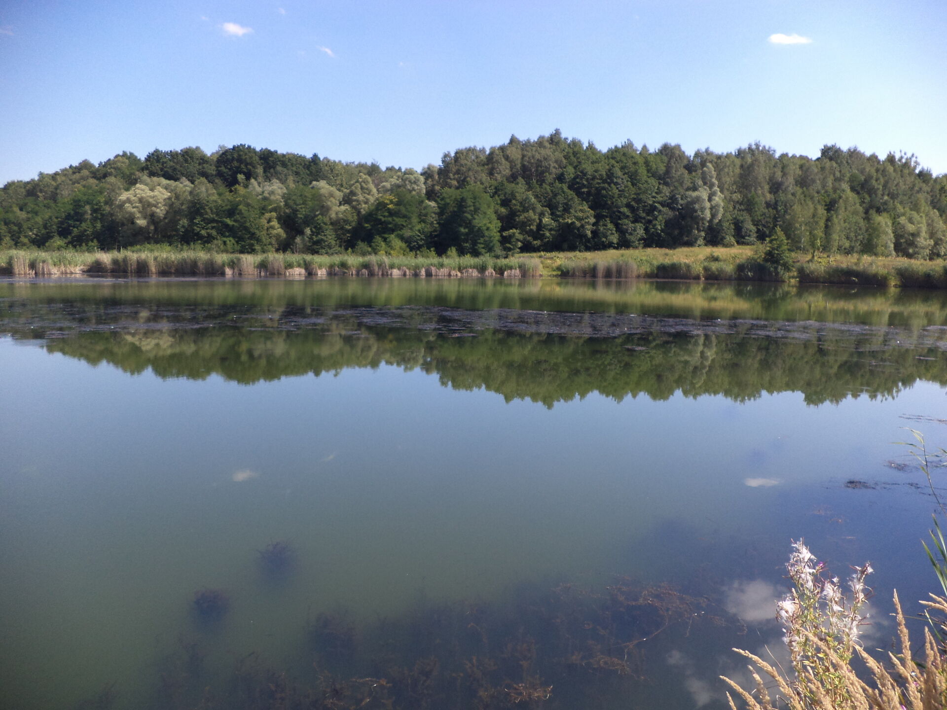 Prodej pozemků Stonava