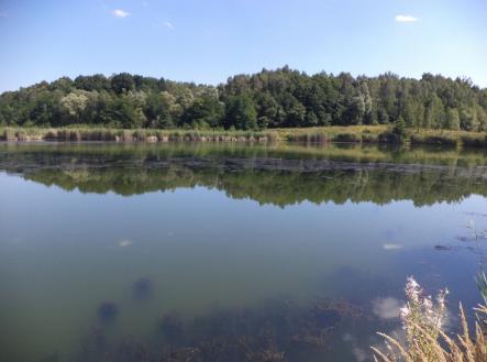 Prodej pozemku, ostatní, 1 274 m²