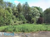 Prodej pozemku, ostatní, 4 529 m²