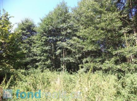 Prodej pozemku, ostatní, 4 529 m²