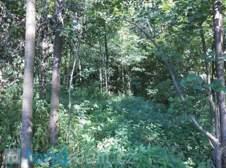 Prodej pozemku, ostatní, 4 529 m²