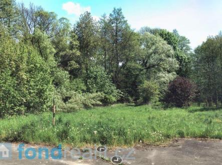 Prodej pozemku, ostatní, 4 529 m²